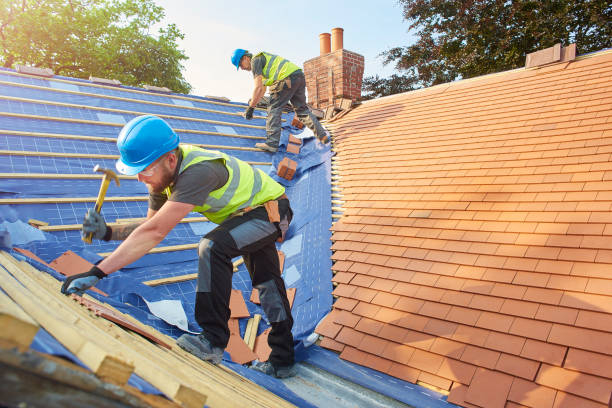 Best Skylight Installation and Repair  in Hilltop, MN